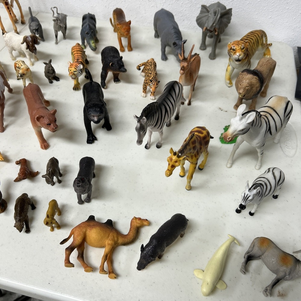 A Lot Of Zoo Animals